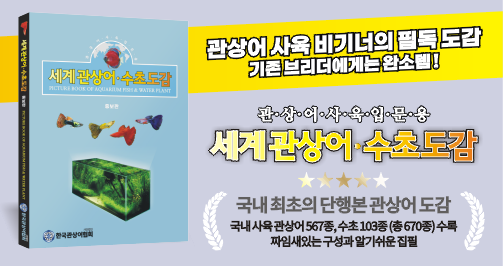 그린피쉬_이벤트(제공 사이트 : 그린피쉬 http://www.greenfish.co.kr)