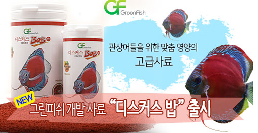 그린피쉬_이벤트(제공 사이트 : 그린피쉬 http://www.greenfish.co.kr)