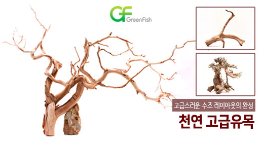 그린피쉬_이벤트(제공 사이트 : 그린피쉬 http://www.greenfish.co.kr)